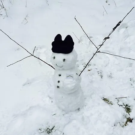 Haus Veni Апартаменты *